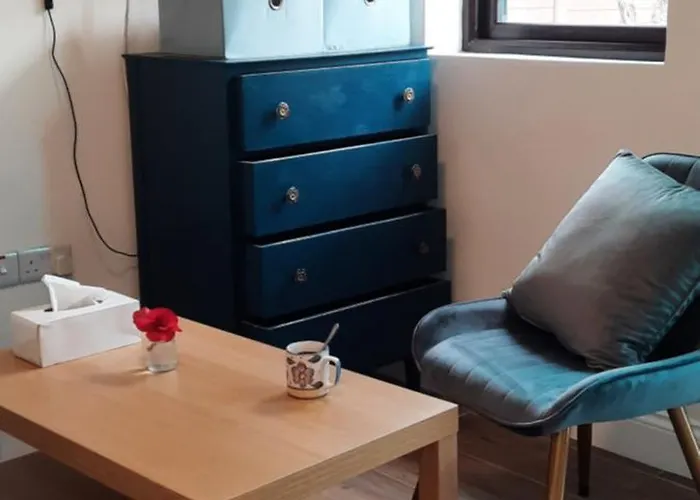 Private Bedsit At Newcastle 3* Galway